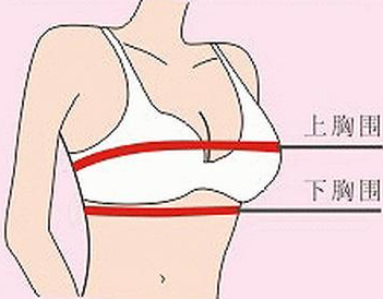 小D杯是多大的胸围，小C胸又是有多大