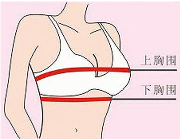 平时穿32应该买什么罩杯内衣