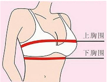 怎样看自己的胸穿什么罩杯内衣