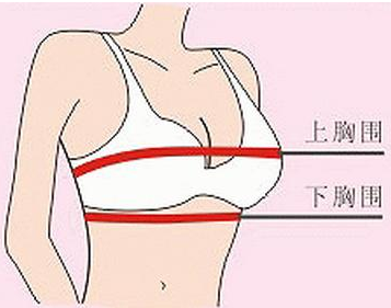 胸围小背后没有肉穿什么文胸，切不可随意挑选