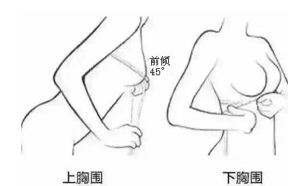 弄明白内衣32a、32b和34a的区别，对确定内衣尺码大有帮助