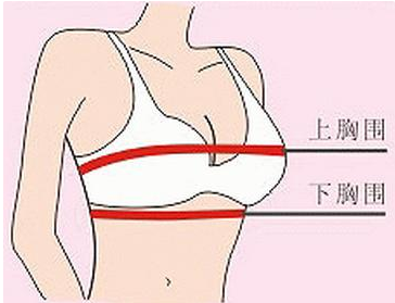 弄明白内衣32a、32b和34a的区别，对确定内衣尺码大有帮助