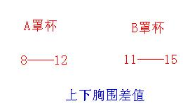 内衣AB通杯适合哪种人穿，就看这两个方面