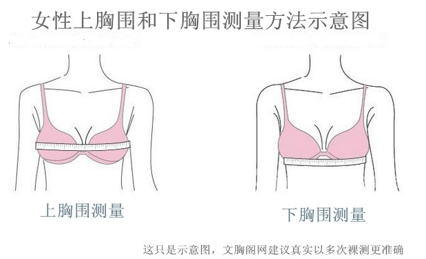 女人胸围83/84/85/88是什么罩杯胸罩