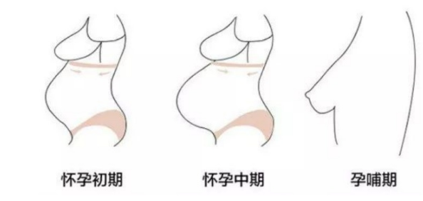 一件合适的哺乳内衣有多重要？不仅舒适透气还能防止下垂