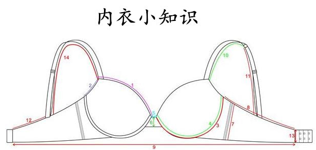 码数是胸部大小，罩杯是乳房容积大小